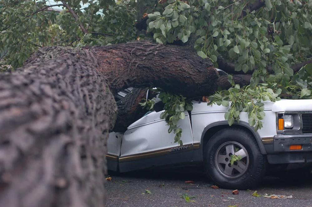 A Tornado in Brooklyn