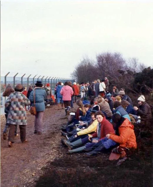 The Fence and the Flowers
