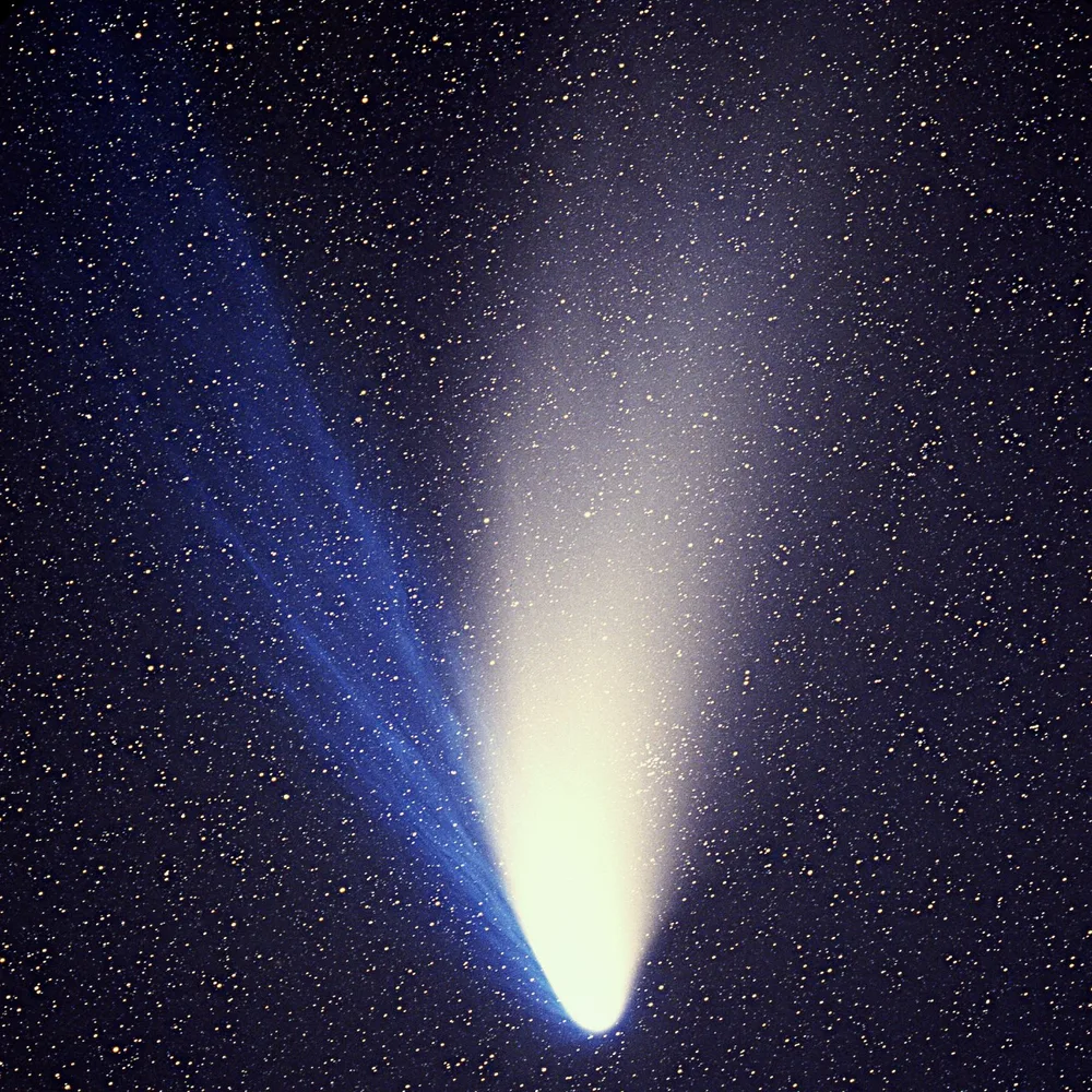 The Comet in the Sun's Shadow