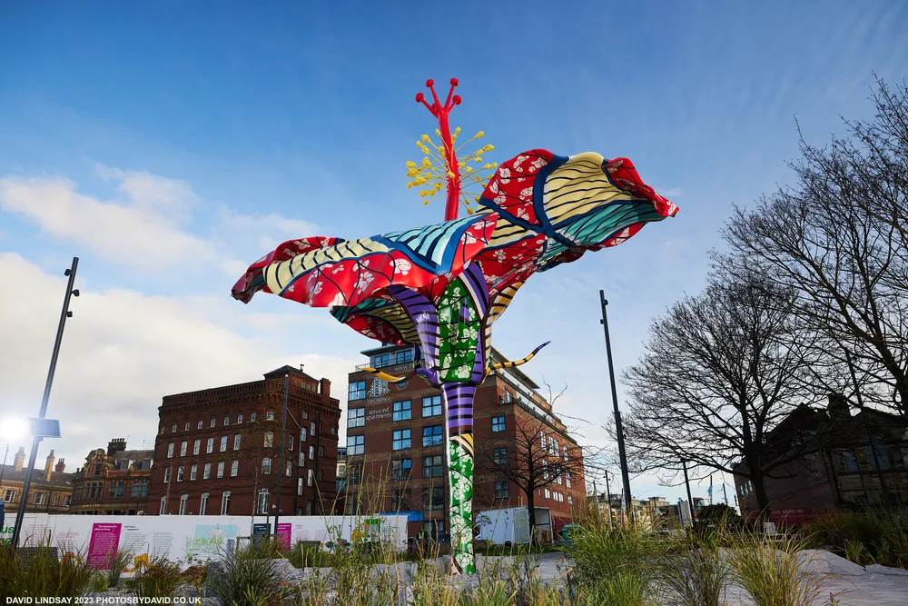 A Steel Hibiscus for David Oluwale