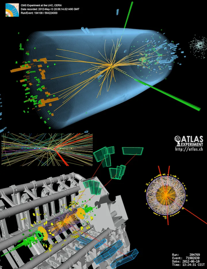 The Particle in the Machine