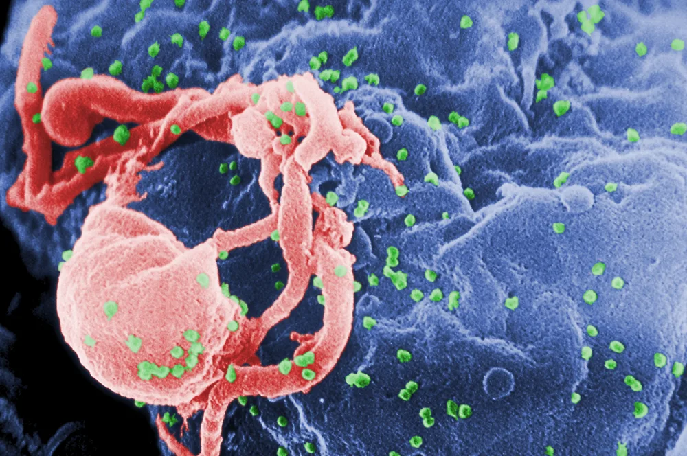 The Virus in the Mail