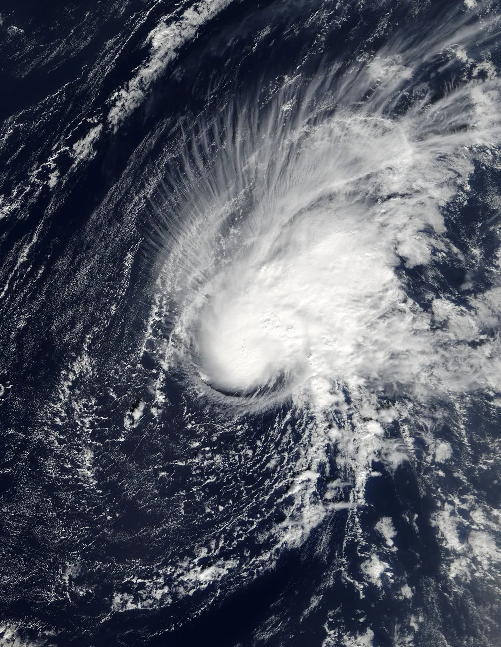 The Storm That Should Not Have Been