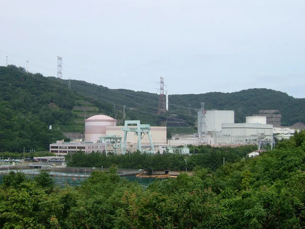 The Unseen Exposure at Tsuruga
