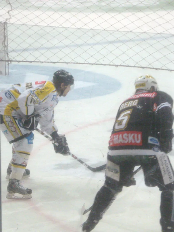 Aki Berg