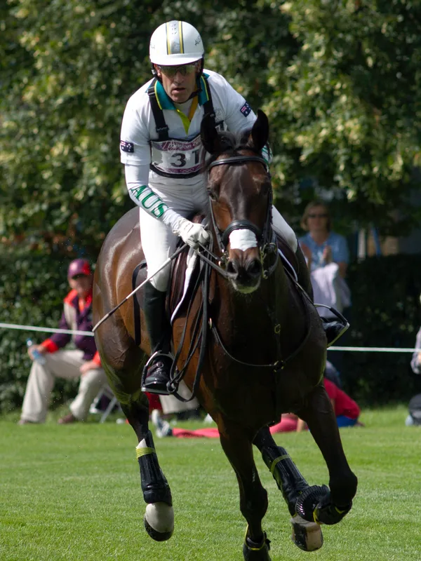 Andrew Hoy