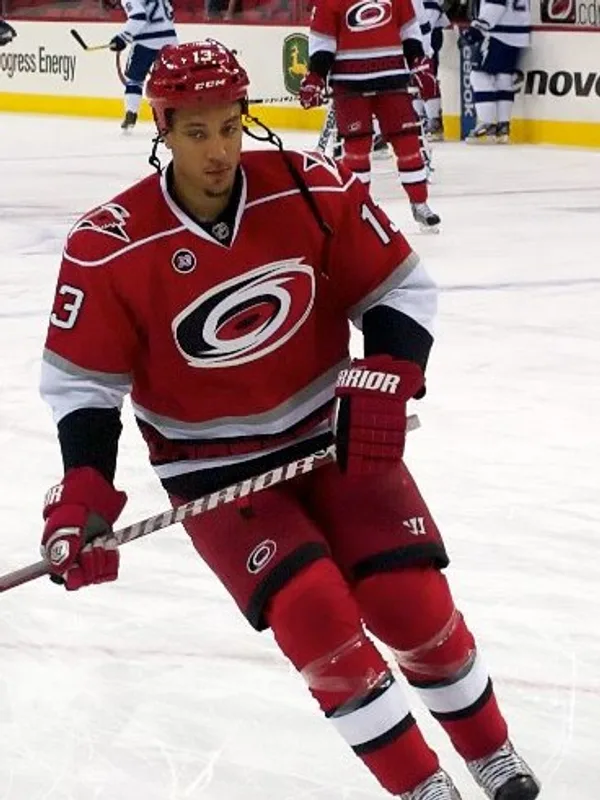 Anthony Stewart (ice hockey)