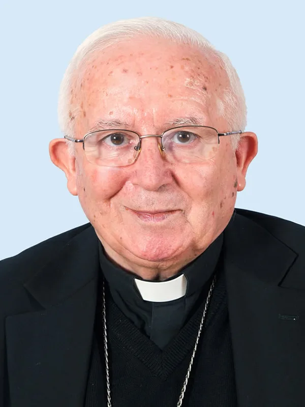 Antonio Cañizares Llovera