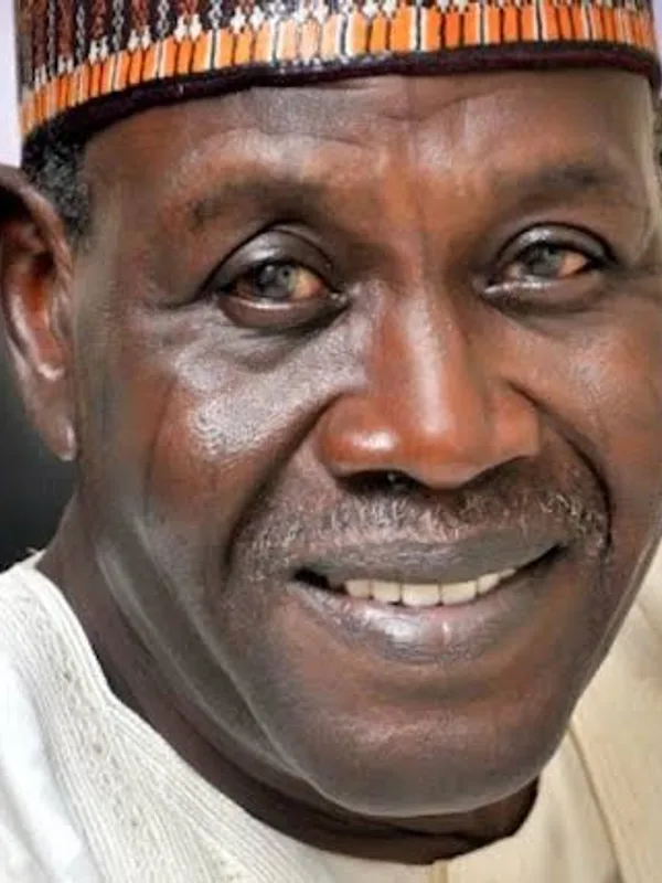 Baba Gana Kingibe