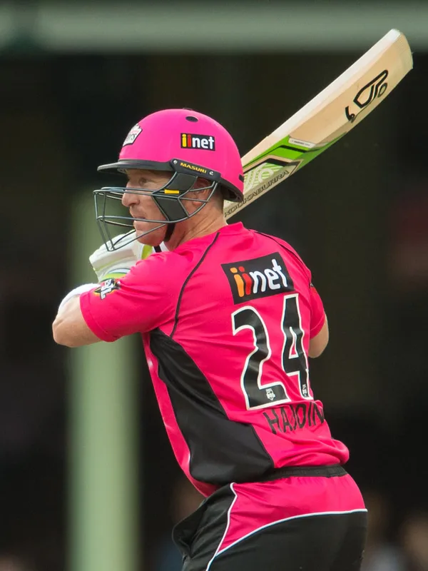 Brad Haddin