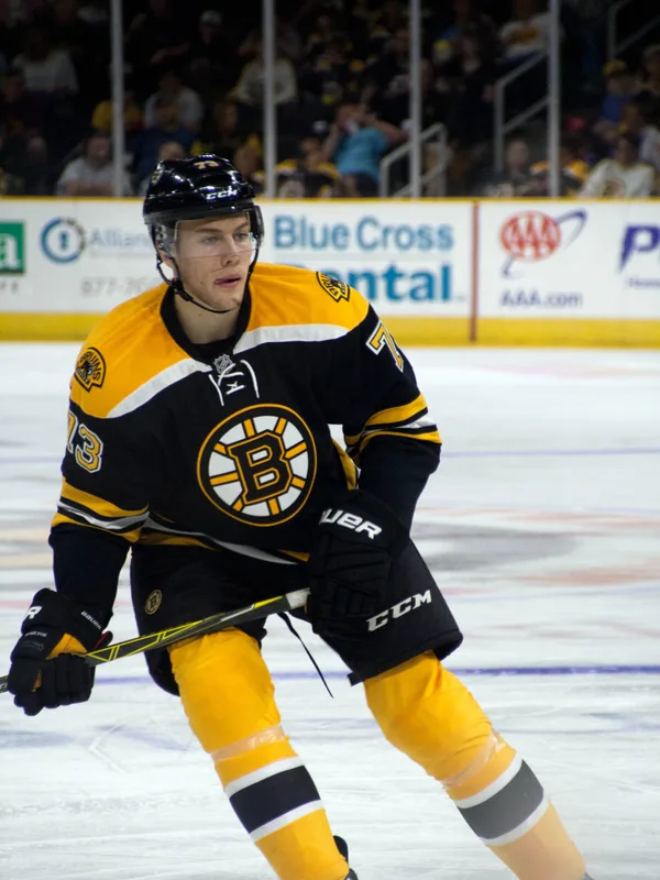 Brandon Carlo