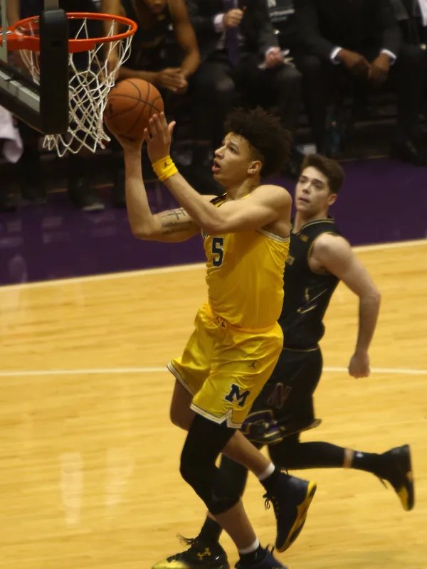 D. J. Wilson