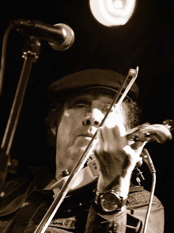David Cross (musician)