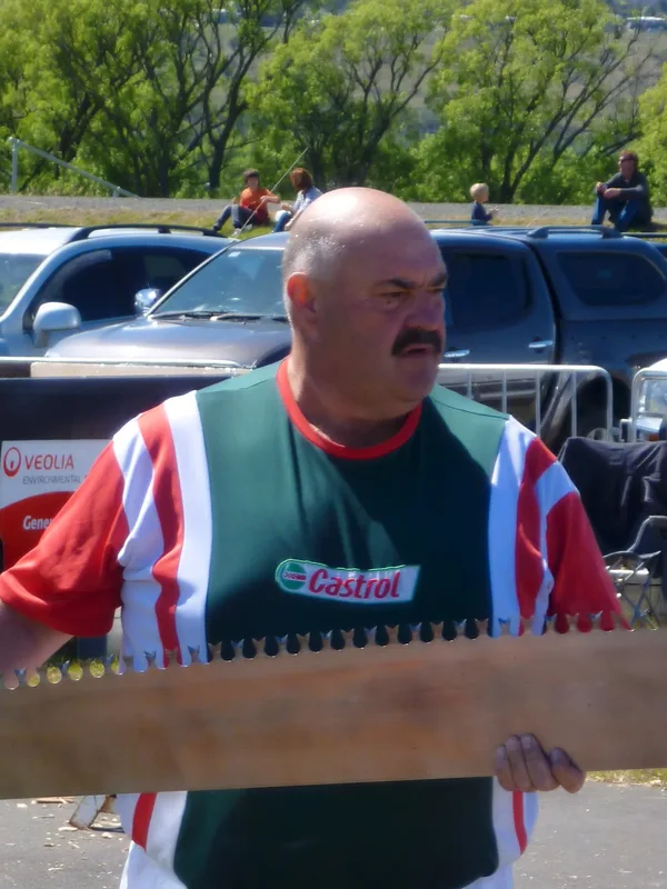 David Foster (woodchopper)