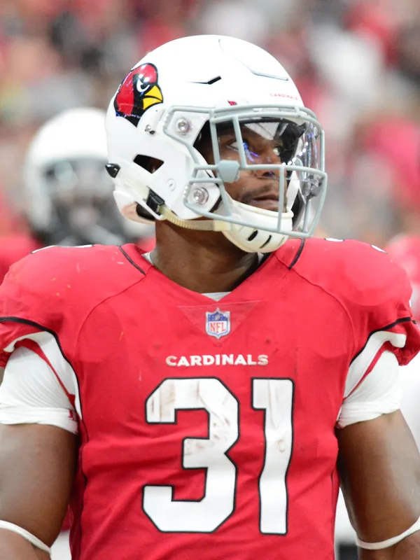 David Johnson (running back)
