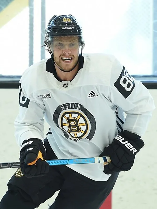 David Pastrňák
