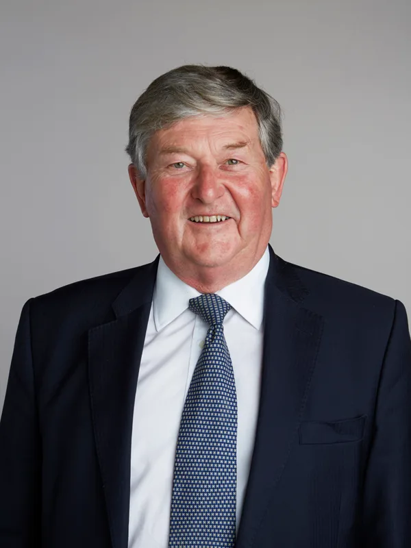 David Phillips (chemist)