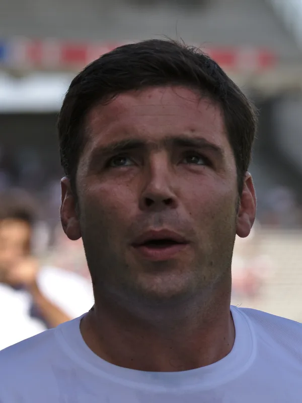 Dimitri Yachvili