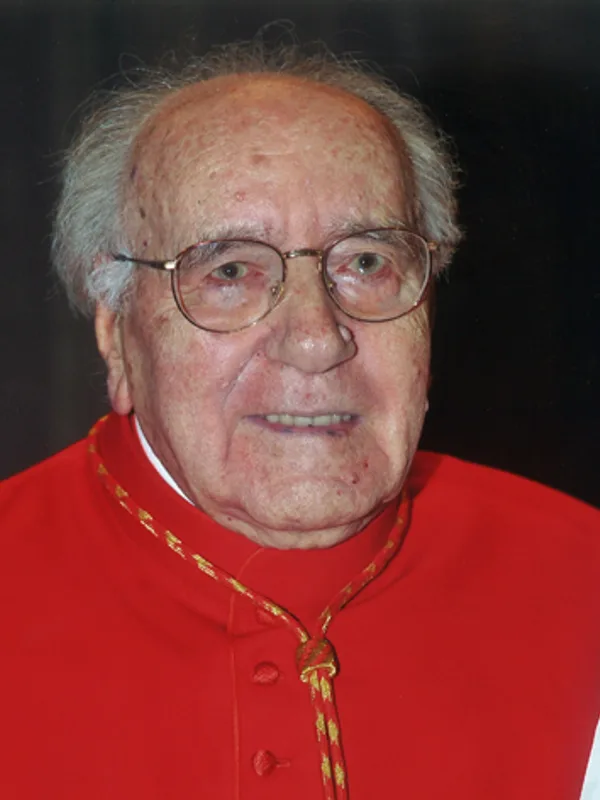 Domenico Bartolucci