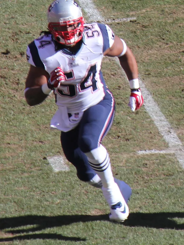 Dont'a Hightower