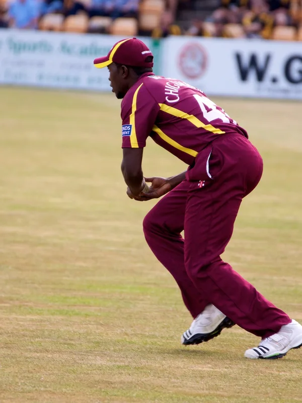 Elton Chigumbura