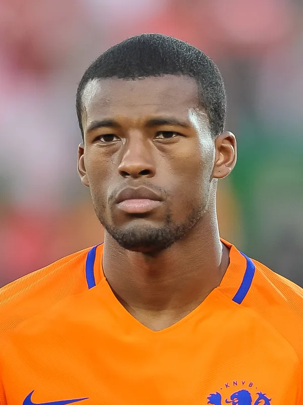 Georginio Wijnaldum