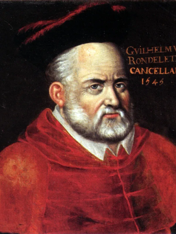 Guillaume Rondelet