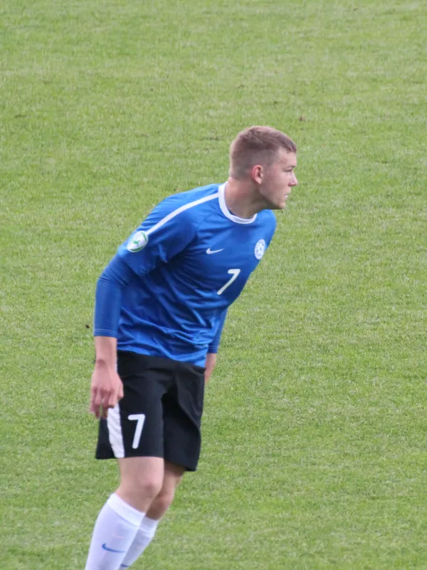 Hannes Anier