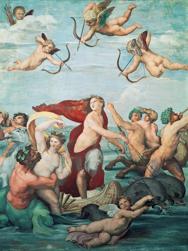 Imperia Cognati