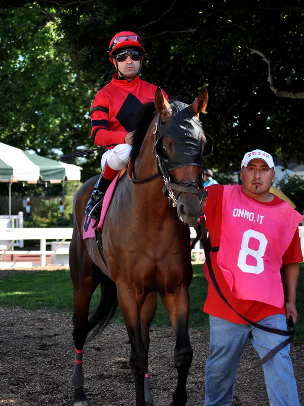 Joe Bravo (jockey)