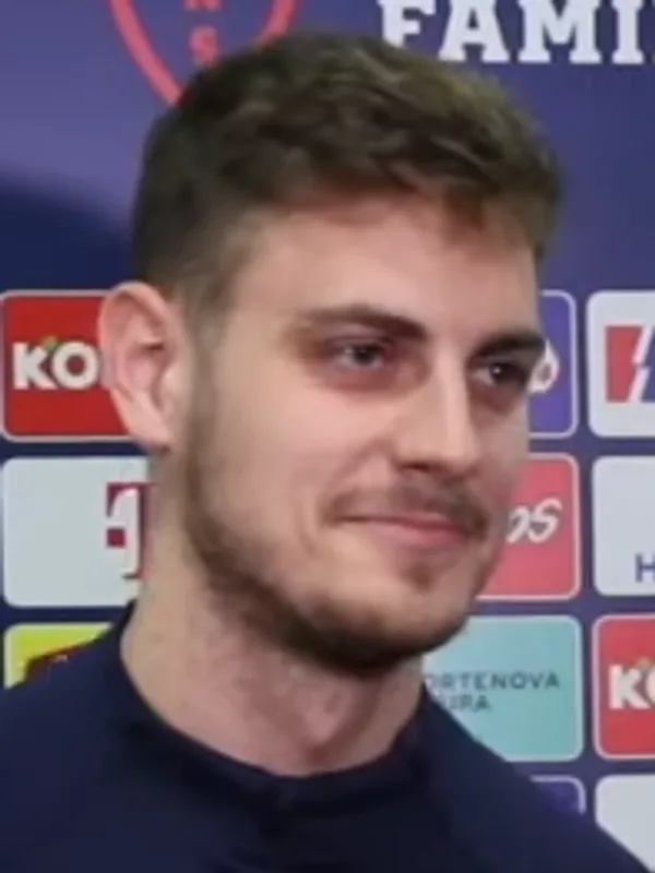 Josip Stanišić