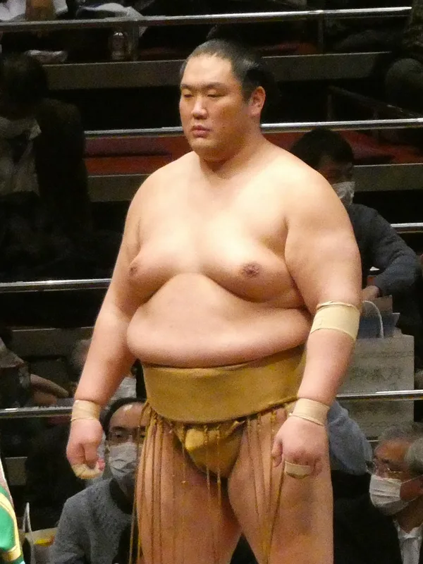 Kagayaki Taishi
