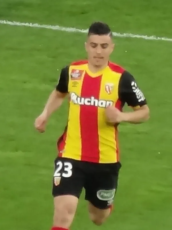 Karim Hafez