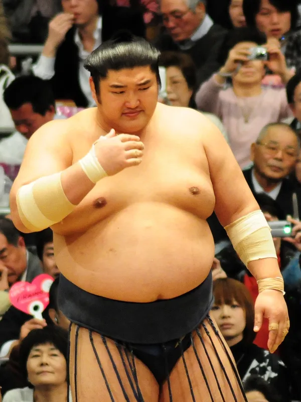 Kotomitsuki Keiji