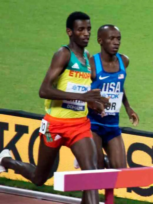 Lamecha Girma