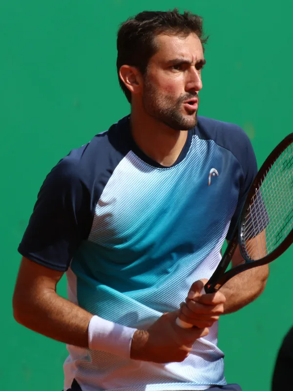 Marin Čilić
