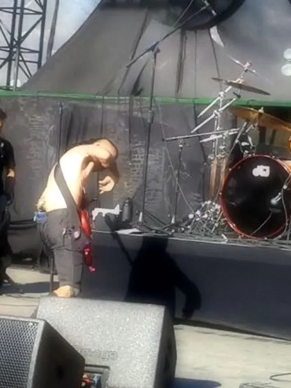 Maximum the Hormone