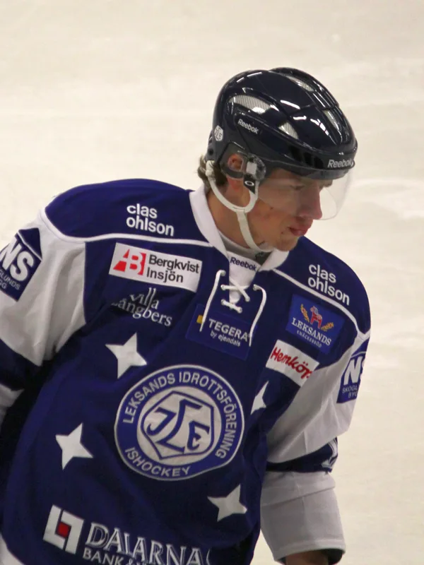 Michael Raffl