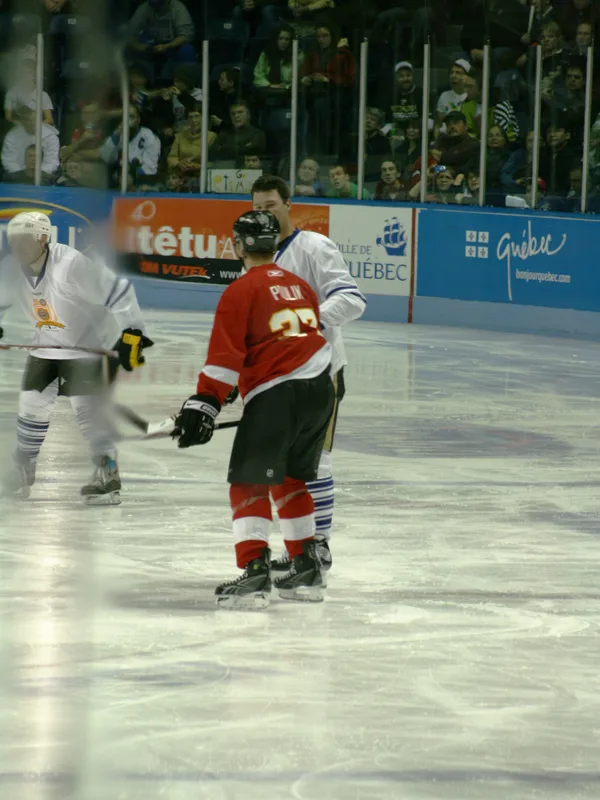 Patrick Poulin