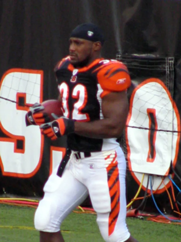 Rudi Johnson