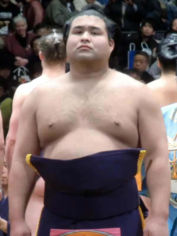 Takayasu Akira