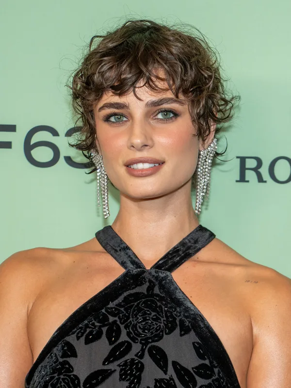 Taylor Hill (model)