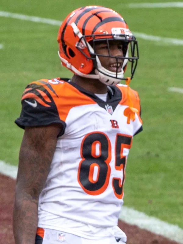 Tee Higgins