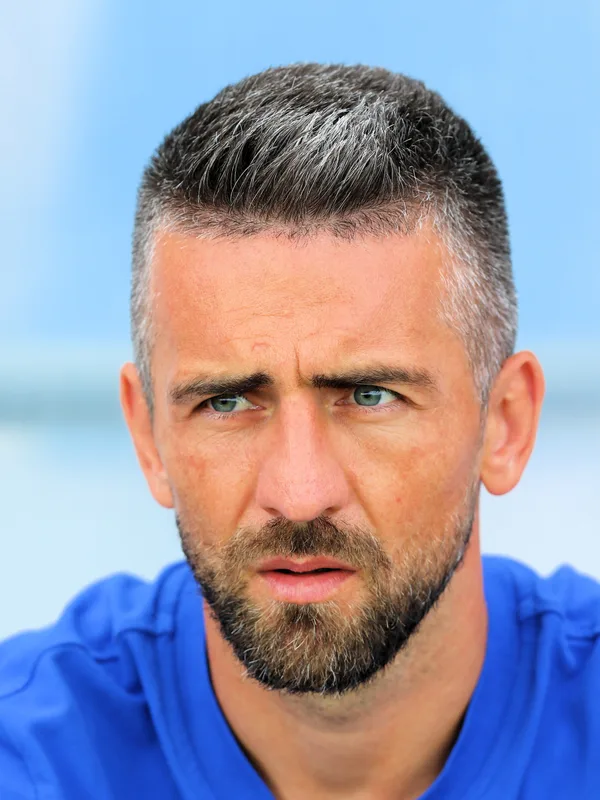 Vedad Ibišević